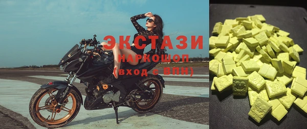 гашик Алексин