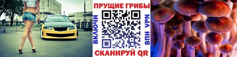 где продают Новотроицк Псилоцибиновые грибы Magic Shrooms